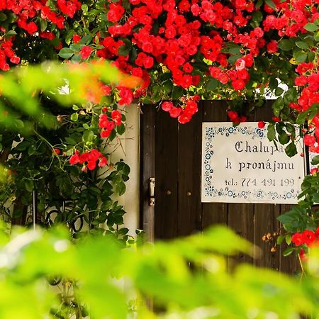 Chalupa U Čápů Nove Mlyny Exterior foto