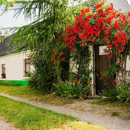 Chalupa U Čápů Nove Mlyny Exterior foto