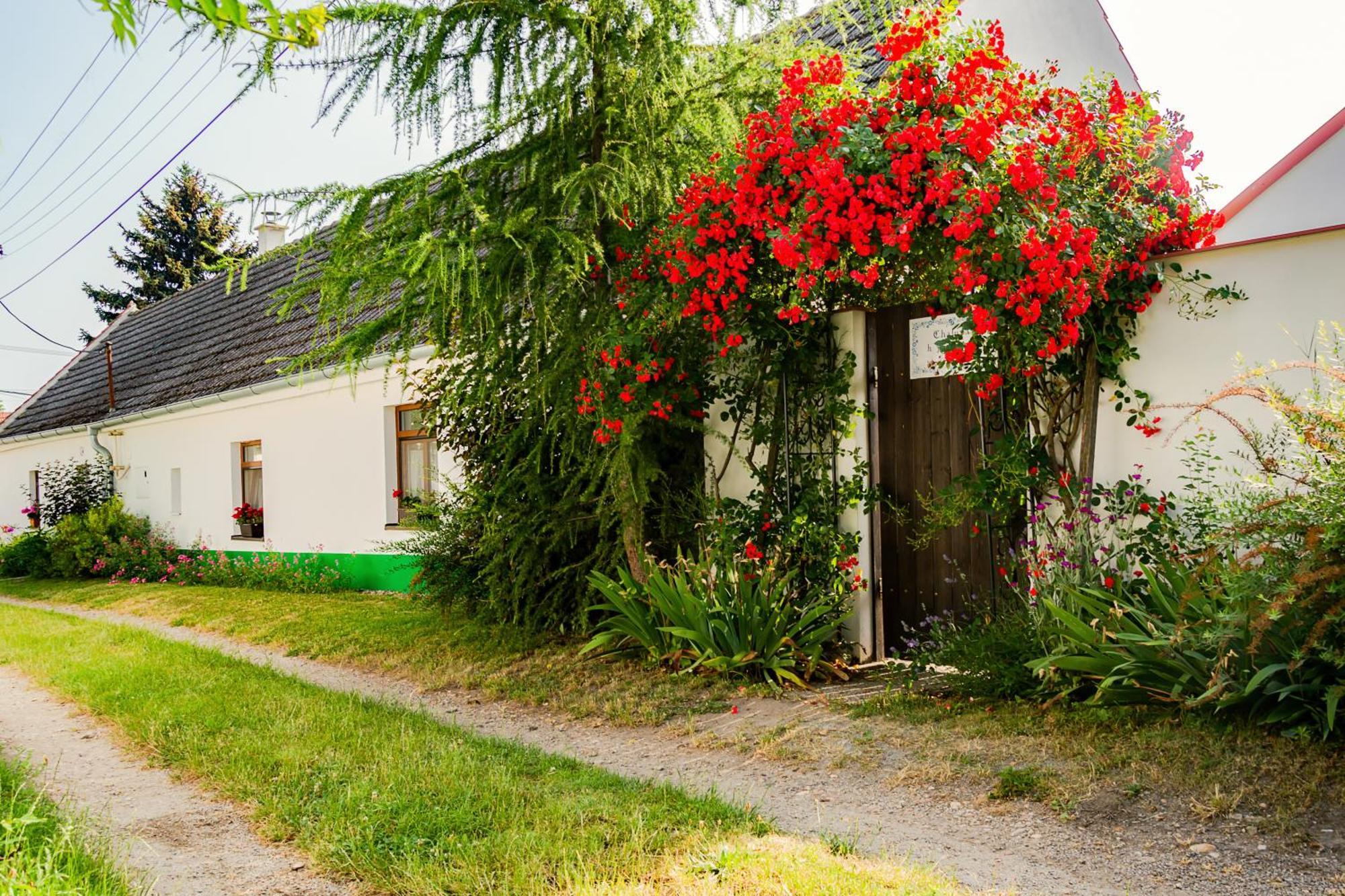 Chalupa U Čápů Nove Mlyny Exterior foto